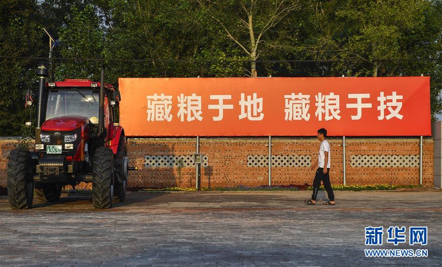 （在習近平新時代中國特色社會主義思想指引下&mdash;&mdash;新時代新作為新篇章&middot;習近平總書記關(guān)切事&middot;圖文互動）（3）為黑土加&ldquo;油&rdquo;&mdash;&mdash;&ldquo;耕地中的大熊貓&rdquo;，我們這樣保護