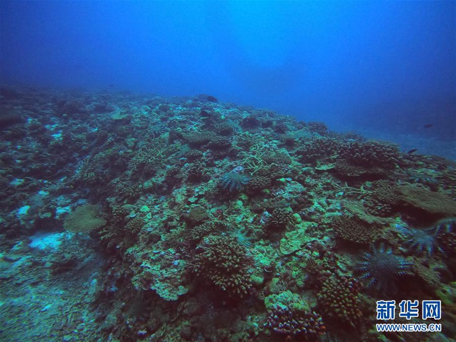 (圖文互動)(1)中沙群島綜合科學考察項目2020年度綜合航次任務(wù)完成