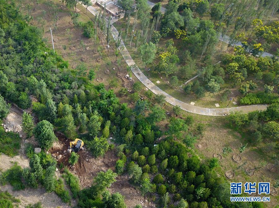 （新華全媒頭條&middot;圖文互動）（15）扎實推進籌辦，不負青春韶華&mdash;&mdash;北京冬奧會籌辦備戰(zhàn)克服疫情影響平穩(wěn)推進