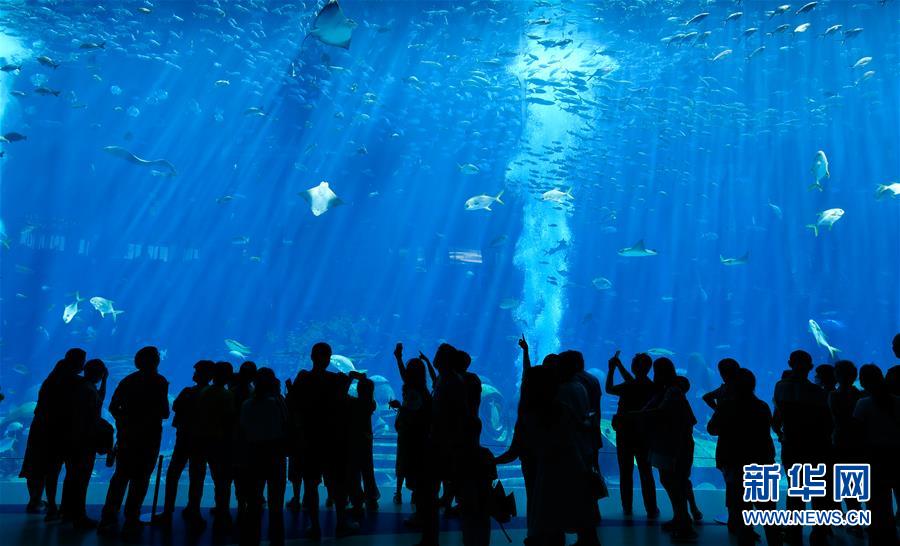 (在習(xí)近平新時(shí)代中國特色社會(huì)主義思想指引下——新時(shí)代新作為新篇章·習(xí)近平總書記關(guān)切事·圖文互動(dòng))(9)感受開放新魅力——海南自由貿(mào)易港建設(shè)開局觀察