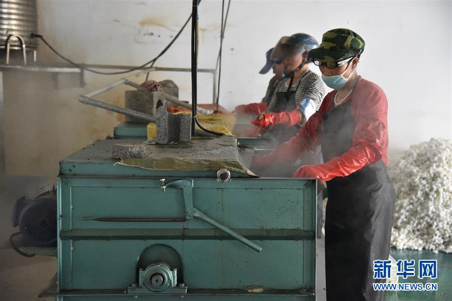 （決戰(zhàn)決勝脫貧攻堅(jiān)&middot;圖文互動(dòng)）（2）&ldquo;江南繅絲&rdquo;喀斯特深山扎根記