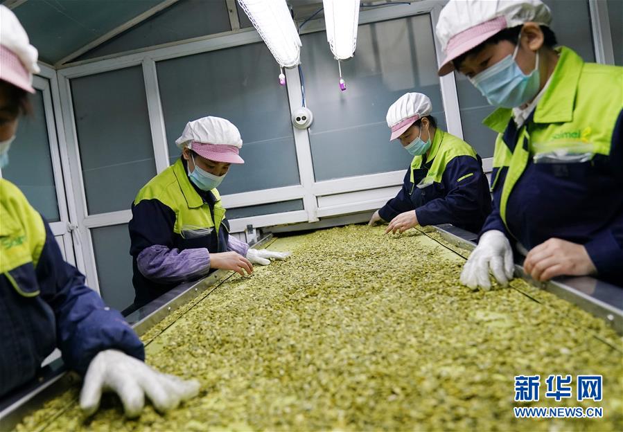 （在習(xí)近平新時(shí)代中國特色社會(huì)主義思想指引下&mdash;&mdash;新時(shí)代新作為新篇章&middot;習(xí)近平總書記關(guān)切事&middot;圖文互動(dòng)）（5）激發(fā)每個(gè)經(jīng)濟(jì)&ldquo;細(xì)胞&rdquo;的活力&mdash;&mdash;千方百計(jì)把市場(chǎng)主體保護(hù)好