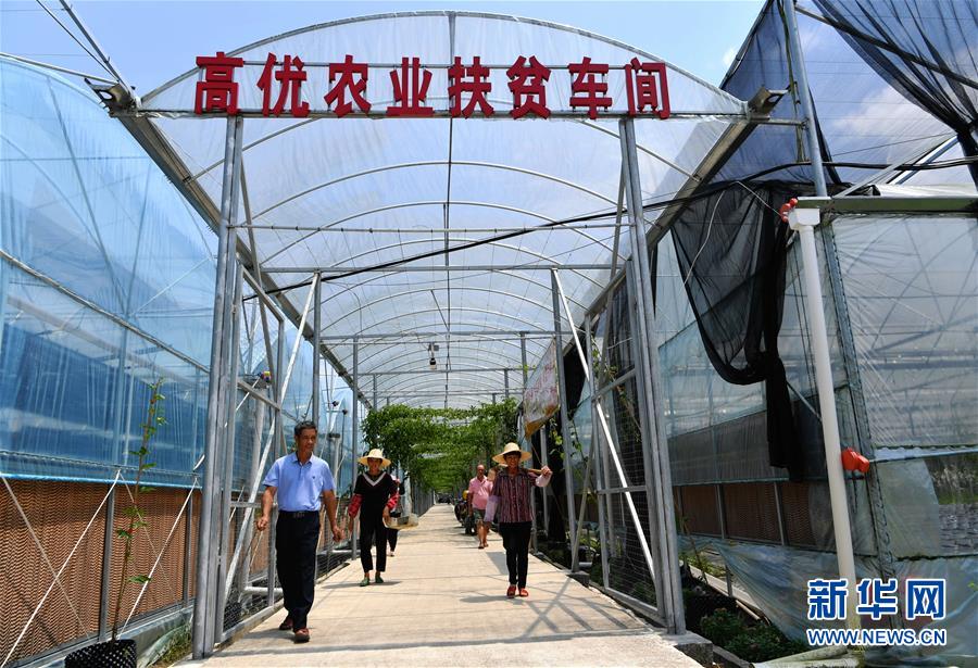 (走向我們的小康生活·圖文互動(dòng))(3)“紅土地”越來越紅火——福建老區(qū)蘇區(qū)發(fā)展新貌掠影