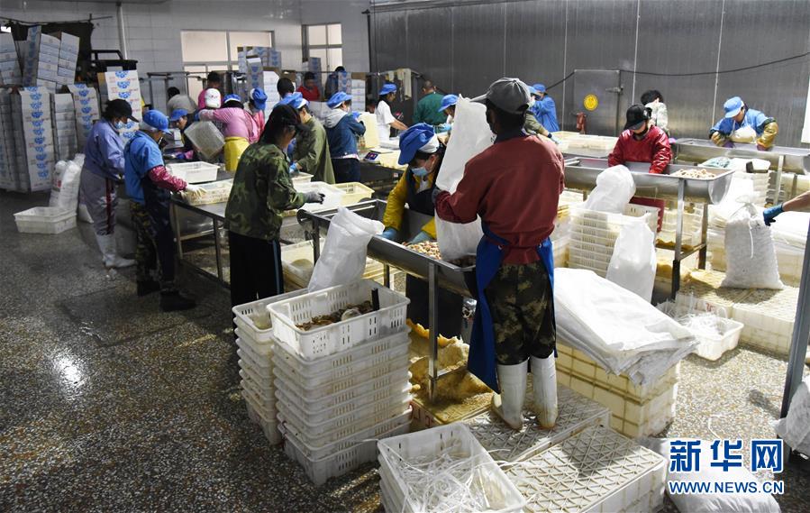 （新華全媒頭條&middot;走向我們的小康生活&middot;圖文互動(dòng)）（3）幸福小康入畫來(lái)&mdash;&mdash;齊魯大地描繪小康新畫卷