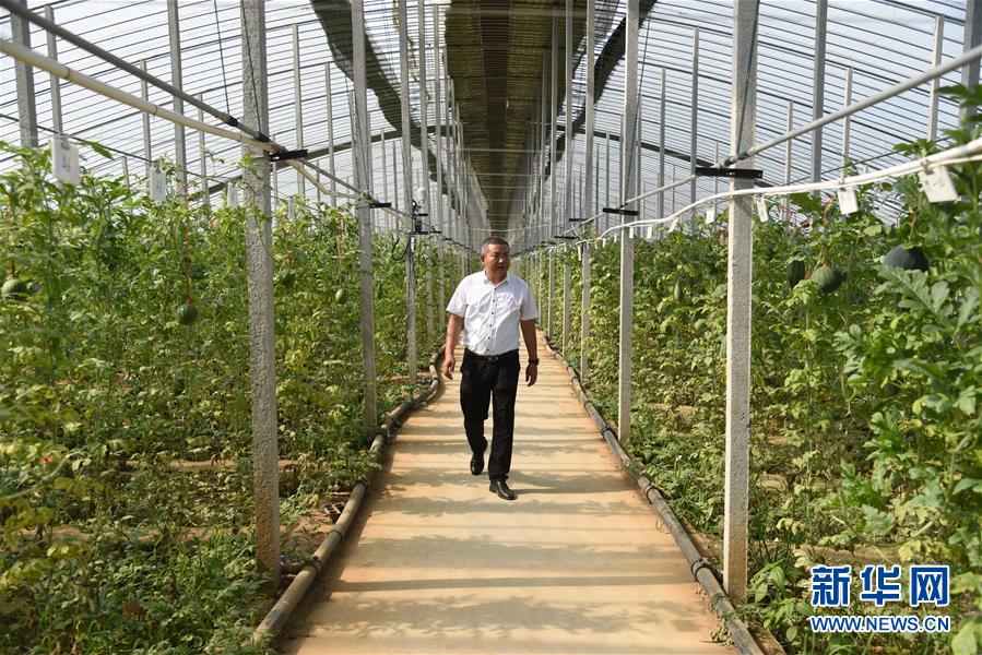 （新華全媒頭條&middot;走向我們的小康生活&middot;圖文互動(dòng)）（11）幸福小康入畫來(lái)&mdash;&mdash;齊魯大地描繪小康新畫卷