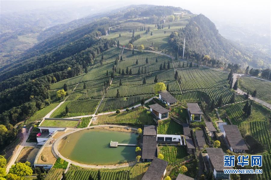 (新華全媒頭條·走向我們的小康生活·圖文互動)(3)大城大鄉(xiāng)的“幸福協(xié)奏曲”——重慶推動高質量發(fā)展創(chuàng)造高品質生活紀事