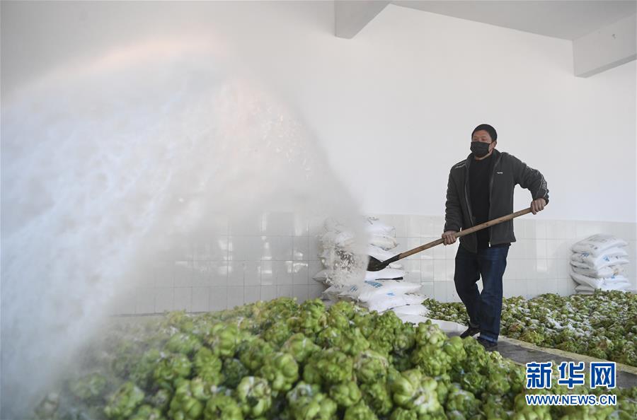 (新華全媒頭條·走向我們的小康生活·圖文互動)(6)大城大鄉(xiāng)的“幸福協(xié)奏曲”——重慶推動高質量發(fā)展創(chuàng)造高品質生活紀事