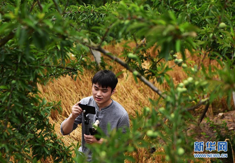 (新華全媒頭條·走向我們的小康生活·圖文互動)(8)大城大鄉(xiāng)的“幸福協(xié)奏曲”——重慶推動高質量發(fā)展創(chuàng)造高品質生活紀事