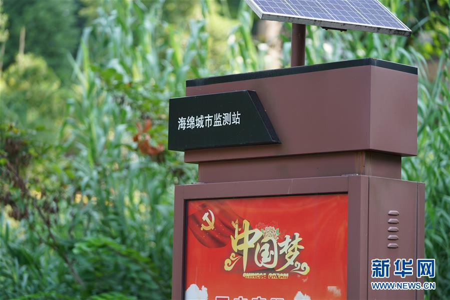 (圖文互動)(3)“綠灰白”破解城市內(nèi)澇之“囧”