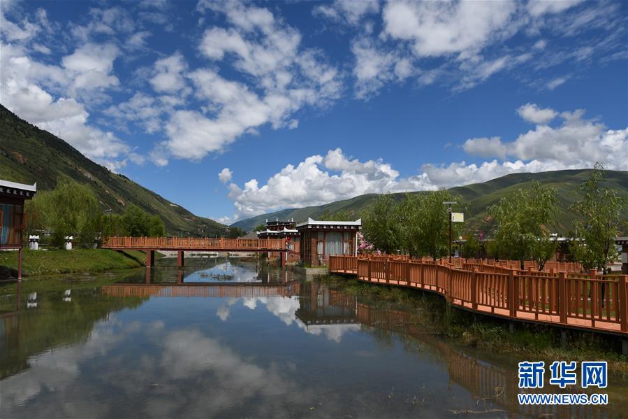 （鄉(xiāng)村振興&middot;圖文互動(dòng)）（1）村里來了位&ldquo;掏糞書記&rdquo;