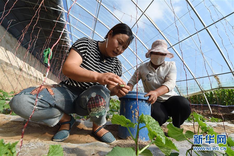 （新華全媒頭條&middot;走向我們的小康生活&middot;圖文互動(dòng)）（5）&ldquo;苦甲&rdquo;不再，&ldquo;甘味&rdquo;綿長(zhǎng)&mdash;&mdash;脫貧攻堅(jiān)的甘肅味道