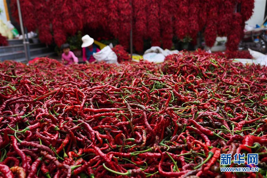 （走向我們的小康生活&middot;決戰(zhàn)決勝脫貧攻堅&middot;圖文互動）（7）甘青交界處的跨越&mdash;&mdash;保安族、撒拉族的脫貧故事 