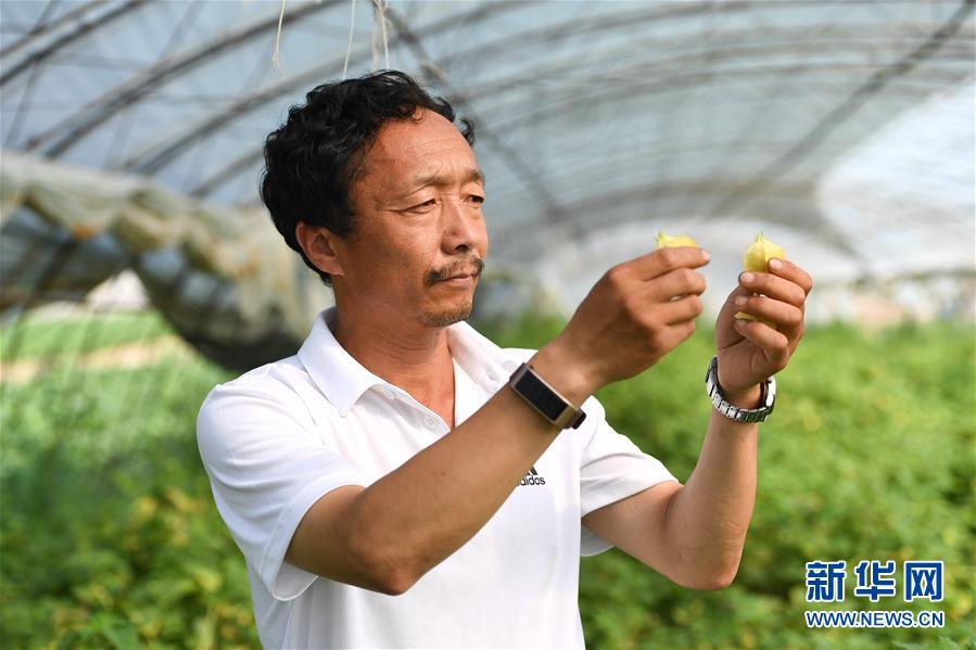 （新華全媒頭條&middot;走向我們的小康生活&middot;圖文互動(dòng)）（7）黑土地上是我家&mdash;&mdash;在吉林，一瞥中國(guó)東北鄉(xiāng)村美麗未來(lái)