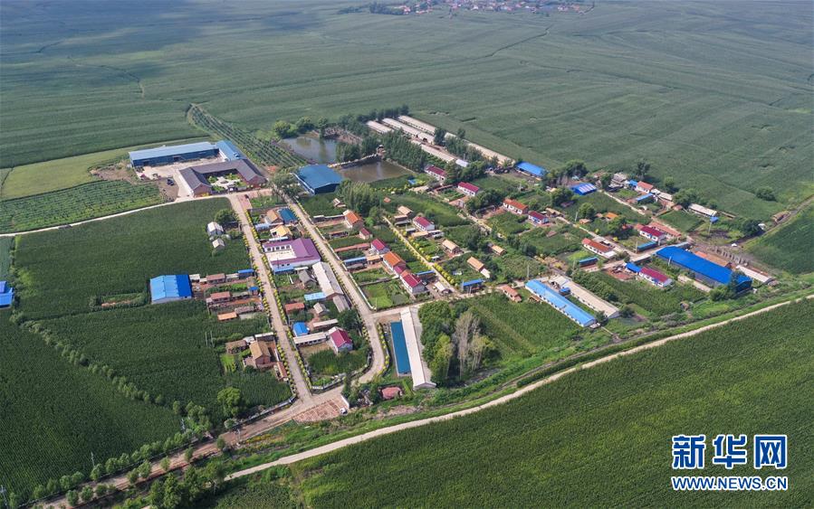 （新華全媒頭條&middot;走向我們的小康生活&middot;圖文互動(dòng)）（12）黑土地上是我家&mdash;&mdash;在吉林，一瞥中國(guó)東北鄉(xiāng)村美麗未來(lái)