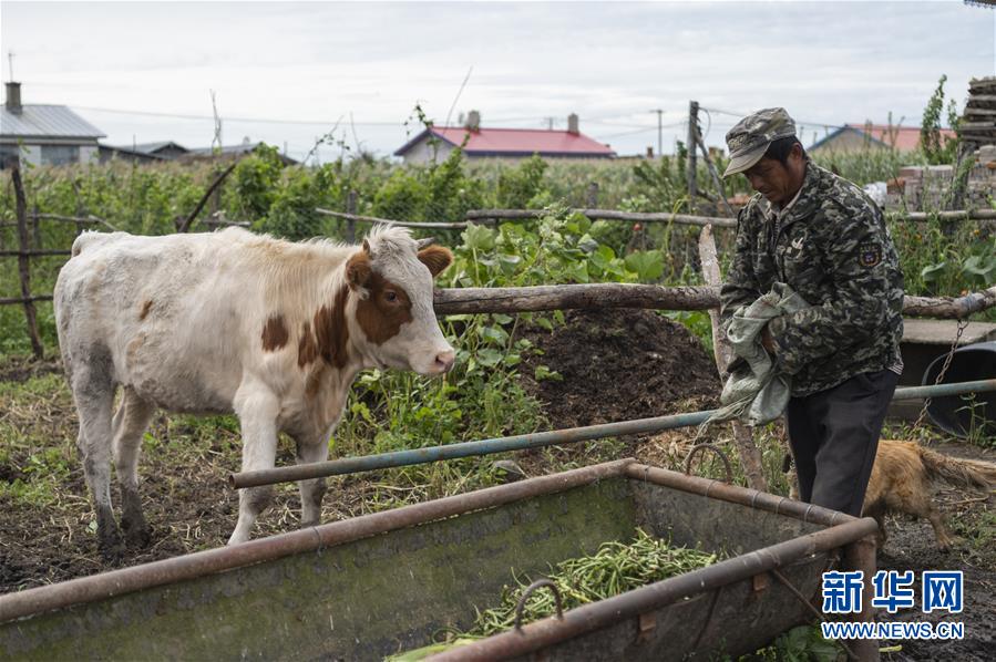 （決戰(zhàn)決勝脫貧攻堅&middot;圖文互動）（2）團(tuán)結(jié)村的李輝新傳