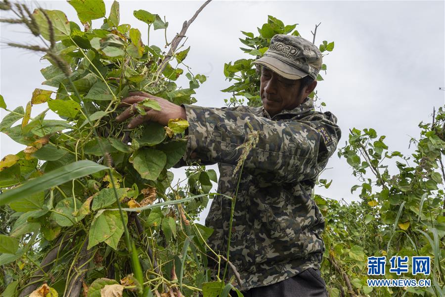 （決戰(zhàn)決勝脫貧攻堅&middot;圖文互動）（3）團(tuán)結(jié)村的李輝新傳