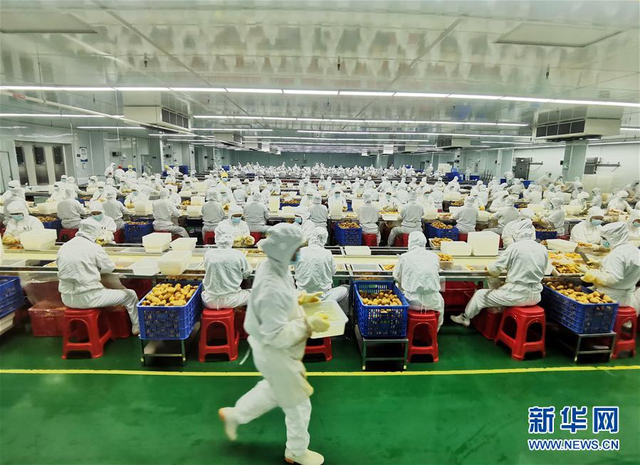 （決戰(zhàn)決勝脫貧攻堅&middot;圖文互動）（8）同飲一江水 攜手&ldquo;斬窮根&rdquo;&mdash;&mdash;深圳對口廣西河池、百色扶貧協(xié)作見聞