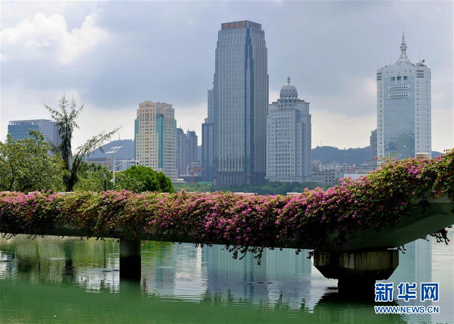 （特區(qū)40年?圖文互動(dòng)）（7）廈庇五洲客 門(mén)納萬(wàn)頃濤&mdash;&mdash;廈門(mén)經(jīng)濟(jì)特區(qū)40年發(fā)展紀(jì)實(shí)