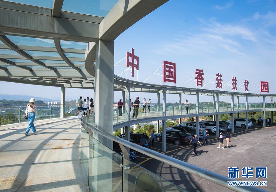 （新華全媒頭條&middot;走向我們的小康生活&middot;圖文互動）（2）特殊之年，荊楚大地書寫不平凡的答卷