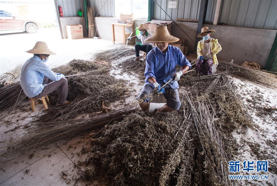 （新華全媒頭條&middot;走向我們的小康生活&middot;圖文互動）（10）特殊之年，荊楚大地書寫不平凡的答卷