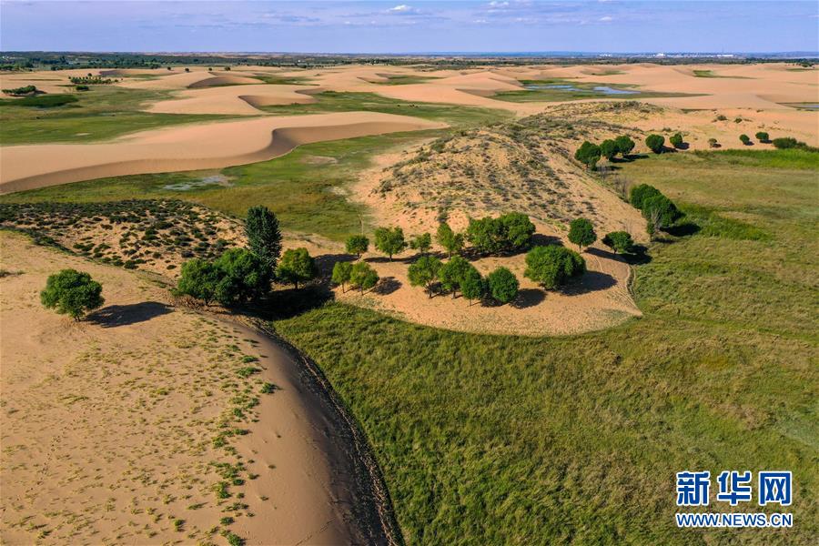 （在習(xí)近平新時(shí)代中國(guó)特色社會(huì)主義思想指引下&mdash;&mdash;新時(shí)代新作為新篇章&middot;習(xí)近平總書記關(guān)切事&middot;圖文互動(dòng)）（10）綠意，在黃沙中鋪展&mdash;&mdash;我國(guó)防沙治沙紀(jì)實(shí)