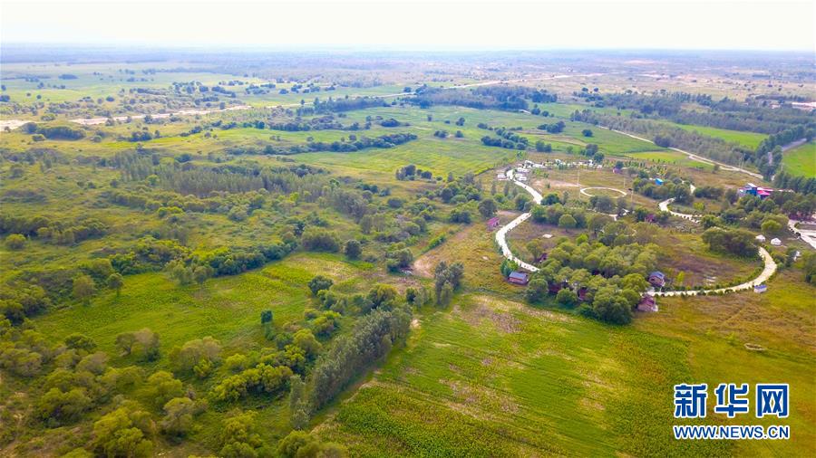 （在習(xí)近平新時(shí)代中國(guó)特色社會(huì)主義思想指引下&mdash;&mdash;新時(shí)代新作為新篇章&middot;習(xí)近平總書記關(guān)切事&middot;圖文互動(dòng)）（1）綠意，在黃沙中鋪展&mdash;&mdash;我國(guó)防沙治沙紀(jì)實(shí)