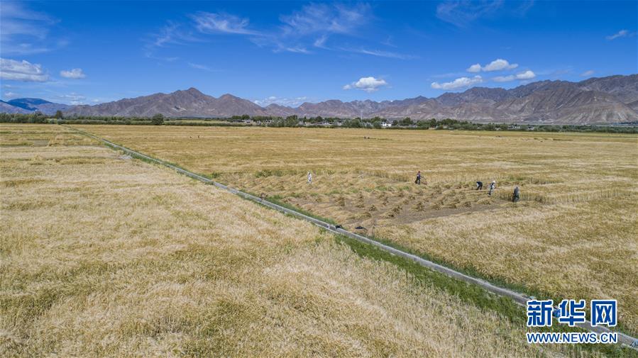 （新華全媒頭條&middot;走向我們的小康生活&middot;圖文互動）（11）扎西德勒，我們的新家園&mdash;&mdash;西藏易地扶貧搬遷搬出幸福美好新生活