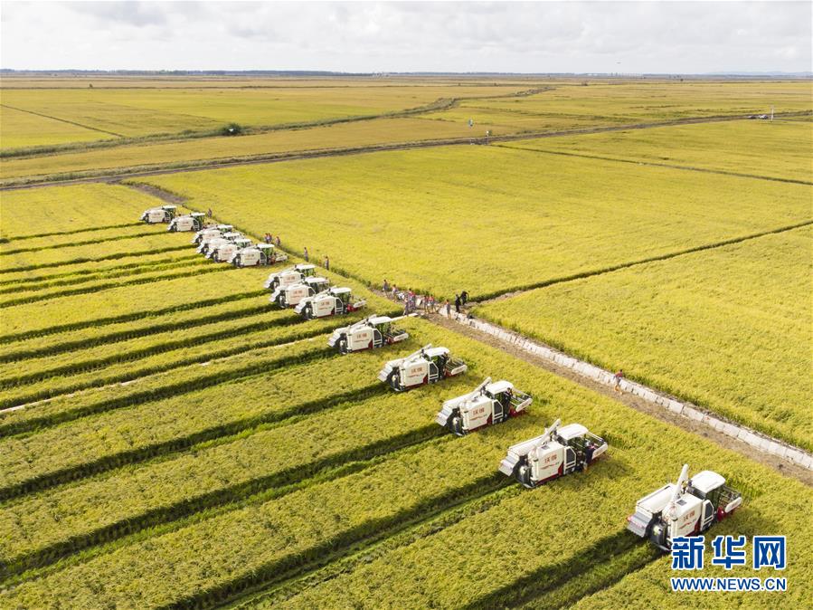 （新華全媒頭條&middot;圖文互動）（15）奮斗結(jié)碩果，再寫新篇章&mdash;&mdash;寫在共和國71周年華誕之際