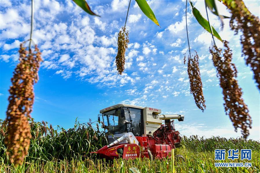 （新華全媒頭條&middot;圖文互動）（17）奮斗結(jié)碩果，再寫新篇章&mdash;&mdash;寫在共和國71周年華誕之際