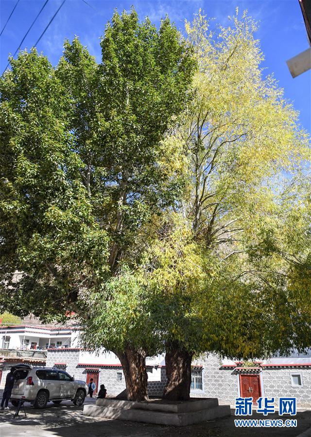 （圖文互動(dòng)）（2）歷史遺跡的述說&mdash;&mdash;西藏昌都源遠(yuǎn)流長的民族團(tuán)結(jié)故事