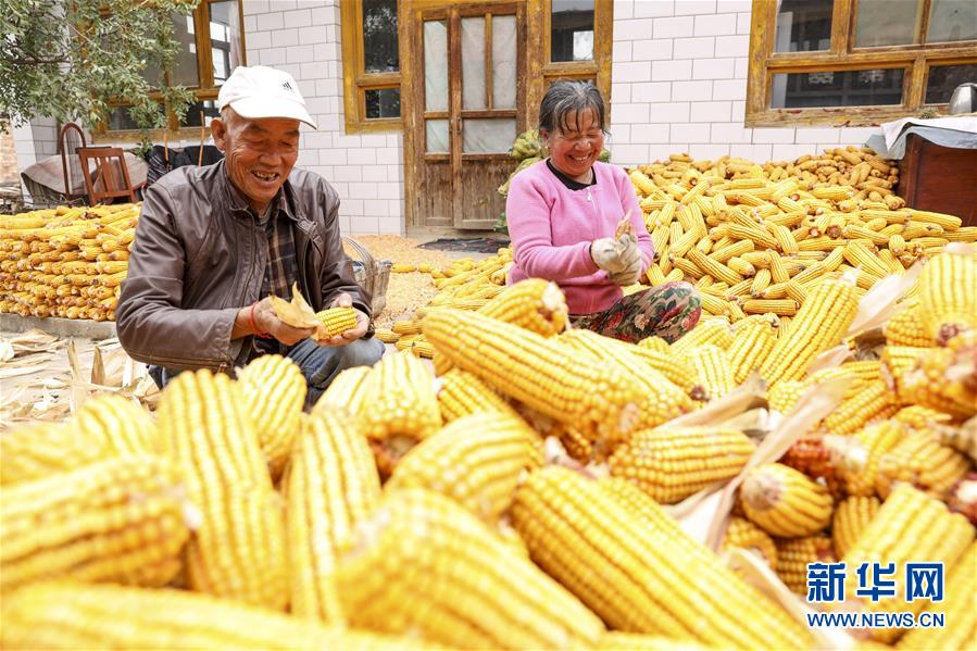 （全面建成小康社會&ldquo;百城千縣萬村調(diào)研行&rdquo;&middot;圖文互動）（4）寧夏華寺村：做活&ldquo;土&rdquo;文章 村民享小康
