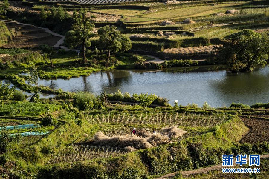 （集中連片特困地區(qū)貧困村調研行&middot;圖文互動）（4）阿佤人民再唱新歌&mdash;&mdash;云南騰沖市三家村中寨司莫拉佤族村脫貧調查