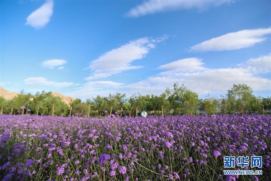 (新華全媒頭條·圖文互動(dòng))(7)大山的回響——三個(gè)民族自治縣的70年巨變