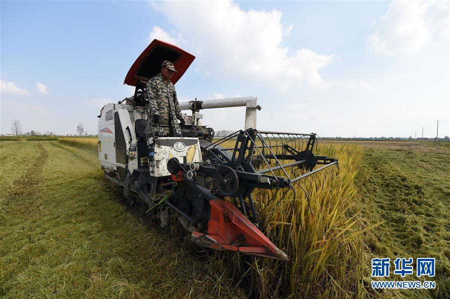 （新華全媒頭條&middot;圖文互動(dòng)）（7）長(zhǎng)淮新&ldquo;斗水&rdquo;記&mdash;&mdash;寫(xiě)在新中國(guó)治淮70年之時(shí)