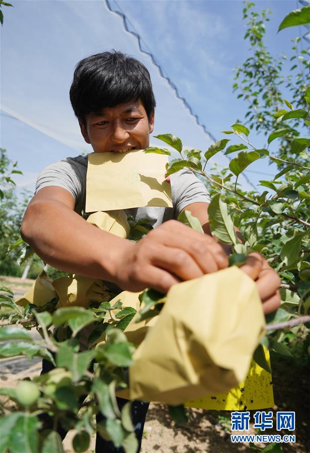 （習(xí)近平的小康故事&middot;圖文互動）（2）&ldquo;我很期盼的一件事，就是讓鄉(xiāng)親們飽餐一頓肉&rdquo;&mdash;&mdash;習(xí)近平和脫貧攻堅的故事