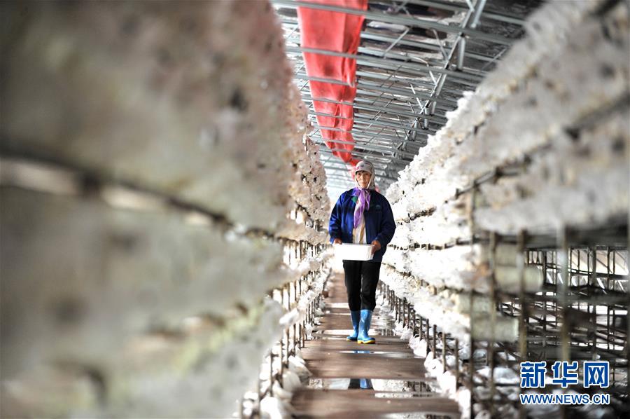 （習(xí)近平的小康故事&middot;圖文互動）（6）&ldquo;我很期盼的一件事，就是讓鄉(xiāng)親們飽餐一頓肉&rdquo;&mdash;&mdash;習(xí)近平和脫貧攻堅的故事