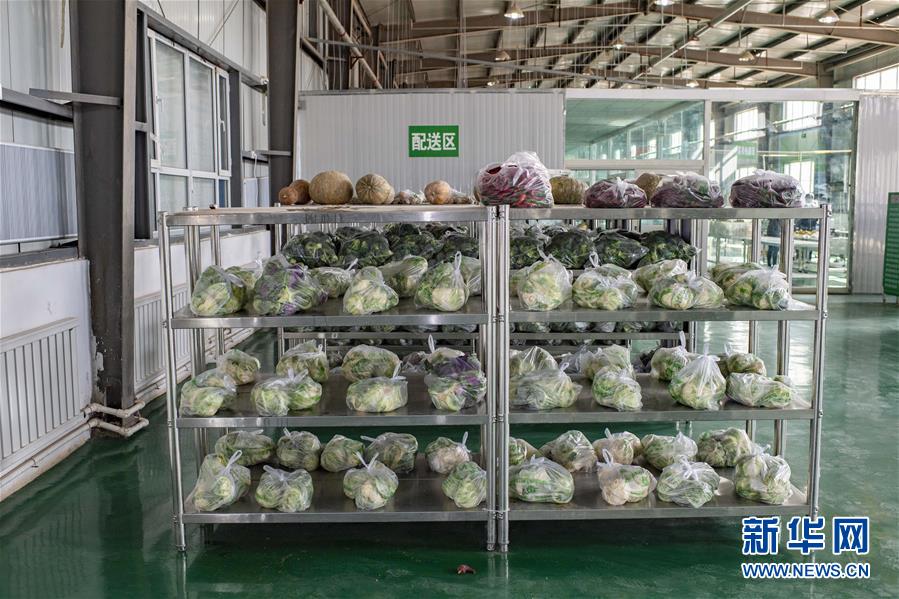 （聚焦疫情防控&middot;圖文互動）（1）把握先機 應(yīng)對有序&mdash;&mdash;新疆疏附縣全力阻斷新冠肺炎病毒傳播