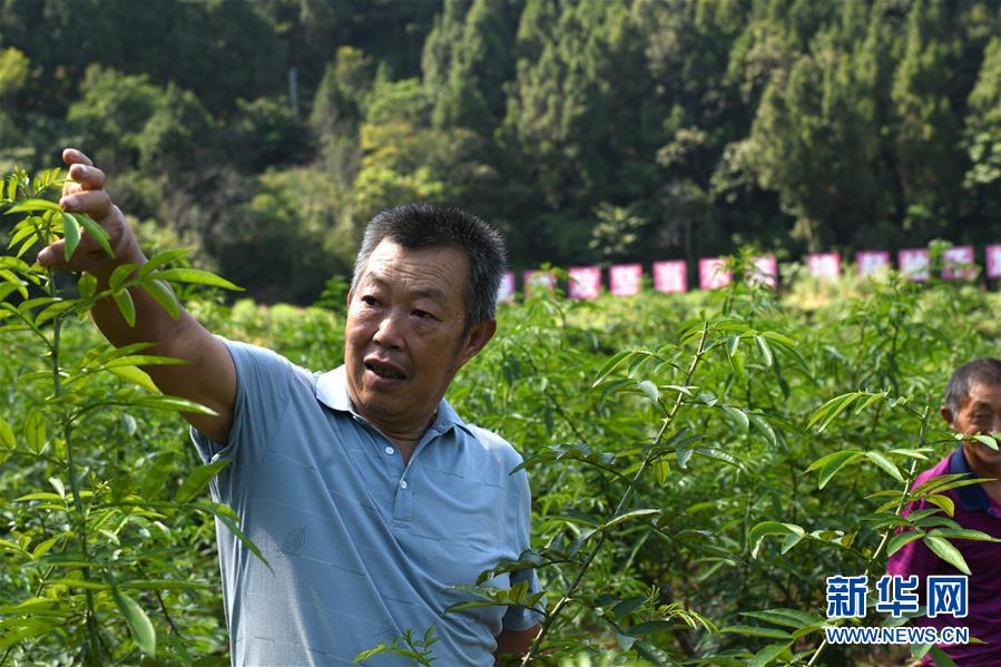 （決戰(zhàn)決勝脫貧攻堅(jiān)&middot;圖文互動）（4）&ldquo;堵槍眼&rdquo;的脫貧戰(zhàn)怎么打？&mdash;&mdash;繼光村見聞