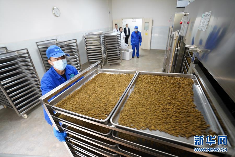 (決戰(zhàn)決勝脫貧攻堅(jiān)·圖文互動(dòng))(3)重慶三峽庫(kù)區(qū)從“中華藥庫(kù)”里探尋脫貧致富“良方”