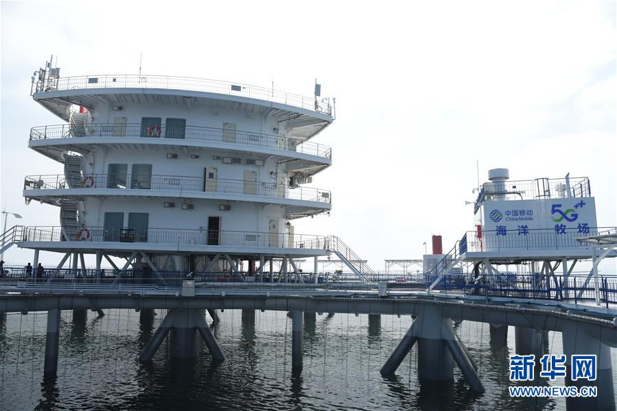 （新華全媒頭條&middot;圖文互動）（6）&ldquo;拔&rdquo;海起牧場 &ldquo;耕&rdquo;海新牧歌