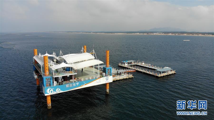 （新華全媒頭條&middot;圖文互動）（7）&ldquo;拔&rdquo;海起牧場 &ldquo;耕&rdquo;海新牧歌