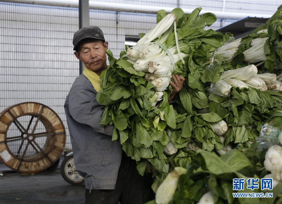 （全面建成小康社會(huì)&ldquo;百城千縣萬(wàn)村調(diào)研行&rdquo;&middot;圖文互動(dòng)）（3）安徽當(dāng)涂：強(qiáng)產(chǎn)業(yè)抓主體促增收