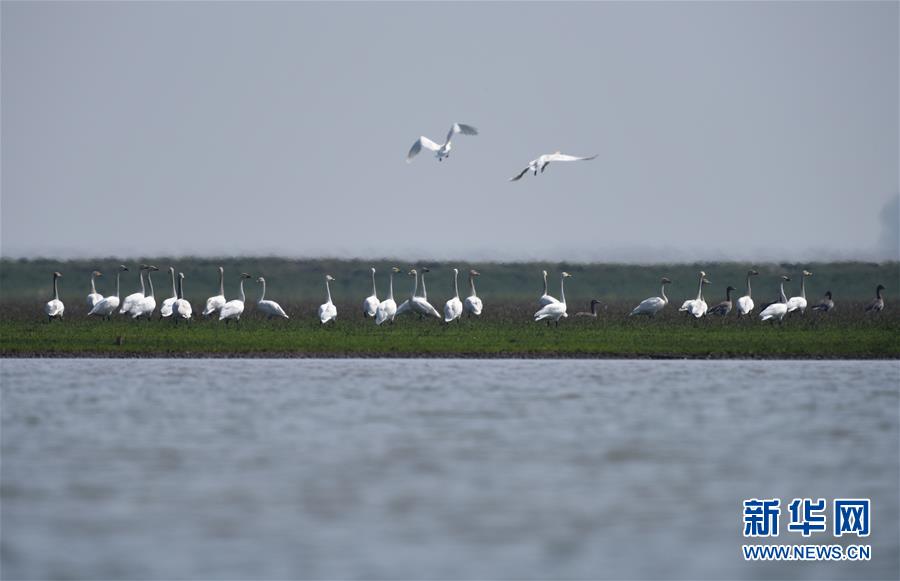 （新華全媒頭條&middot;圖文互動）（11）潮起東方萬象新&mdash;&mdash;以習近平同志為核心的黨中央團結(jié)帶領(lǐng)全黨全軍全國各族人民貫徹落實黨的十九大精神紀實