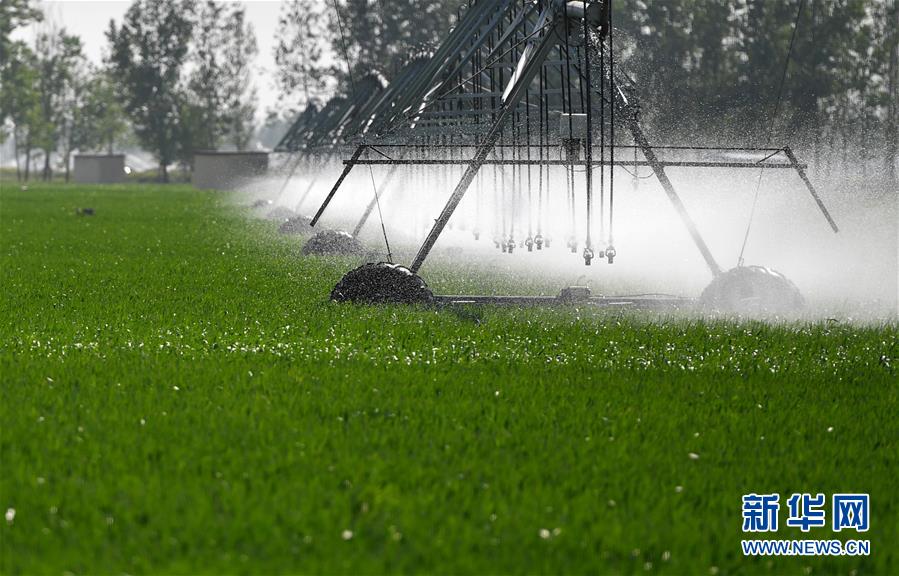 （在習(xí)近平新時(shí)代中國特色社會(huì)主義思想指引下&mdash;&mdash;新時(shí)代新作為新篇章&middot;習(xí)近平總書記關(guān)切事&middot;圖文互動(dòng)）（3）新農(nóng)事、新希望&mdash;&mdash;夏收前田間新動(dòng)態(tài)掃描