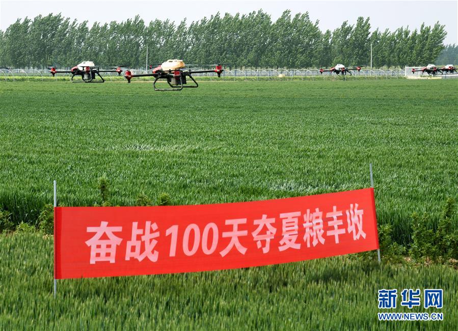 （在習(xí)近平新時(shí)代中國特色社會(huì)主義思想指引下&mdash;&mdash;新時(shí)代新作為新篇章&middot;習(xí)近平總書記關(guān)切事&middot;圖文互動(dòng)）（9）新農(nóng)事、新希望&mdash;&mdash;夏收前田間新動(dòng)態(tài)掃描