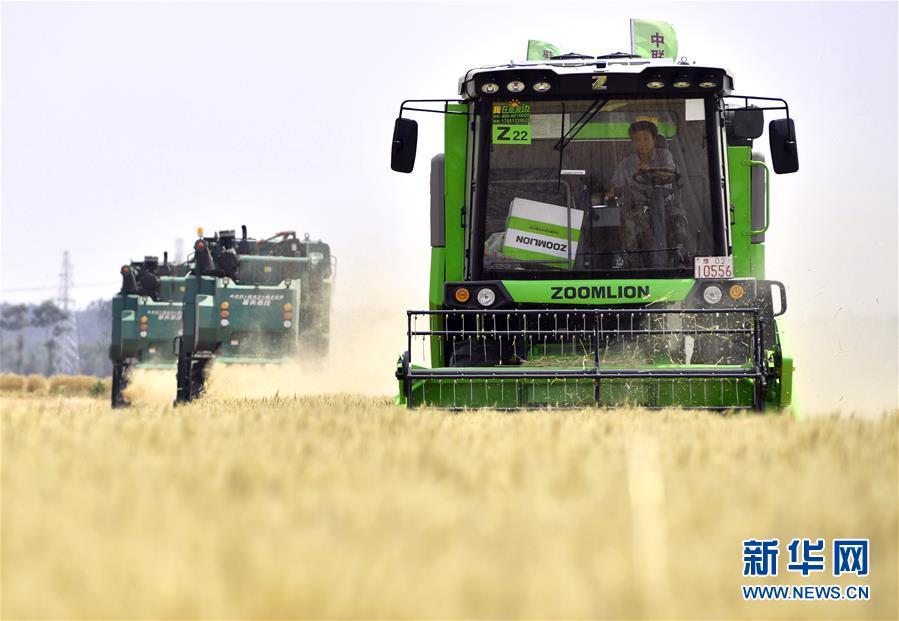 （在習(xí)近平新時代中國特色社會主義思想指引下&mdash;&mdash;新時代新作為新篇章&middot;習(xí)近平總書記關(guān)切事&middot;圖文互動）（12）讓農(nóng)民挑上&ldquo;金扁擔(dān)&rdquo;&mdash;&mdash;農(nóng)業(yè)現(xiàn)代化的生動實(shí)踐掃描