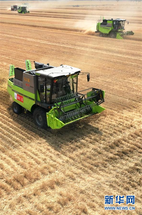 （在習(xí)近平新時代中國特色社會主義思想指引下&mdash;&mdash;新時代新作為新篇章&middot;習(xí)近平總書記關(guān)切事&middot;圖文互動）（13）讓農(nóng)民挑上&ldquo;金扁擔(dān)&rdquo;&mdash;&mdash;農(nóng)業(yè)現(xiàn)代化的生動實(shí)踐掃描