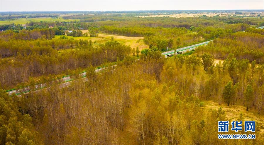 （在習(xí)近平新時(shí)代中國(guó)特色社會(huì)主義思想指引下&mdash;&mdash;新時(shí)代新作為新篇章&middot;習(xí)近平總書記關(guān)切事&middot;圖文互動(dòng)）（3）綠意，在黃沙中鋪展&mdash;&mdash;我國(guó)防沙治沙紀(jì)實(shí)