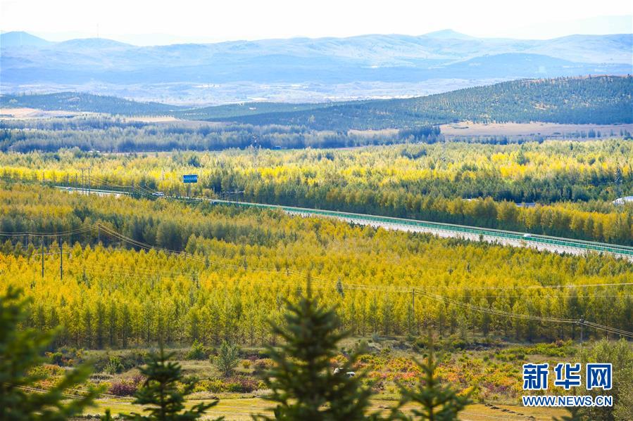 （在習(xí)近平新時(shí)代中國(guó)特色社會(huì)主義思想指引下&mdash;&mdash;新時(shí)代新作為新篇章&middot;習(xí)近平總書記關(guān)切事&middot;圖文互動(dòng)）（7）綠意，在黃沙中鋪展&mdash;&mdash;我國(guó)防沙治沙紀(jì)實(shí)