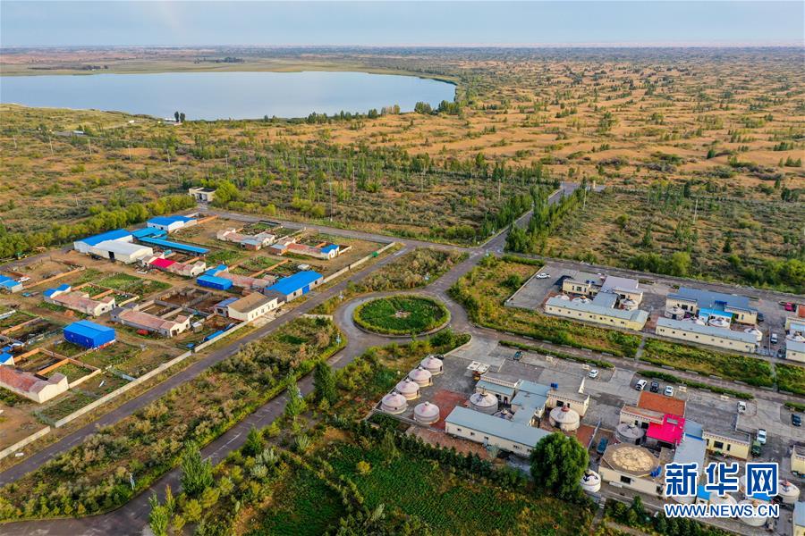 （在習(xí)近平新時(shí)代中國(guó)特色社會(huì)主義思想指引下&mdash;&mdash;新時(shí)代新作為新篇章&middot;習(xí)近平總書記關(guān)切事&middot;圖文互動(dòng)）（12）綠意，在黃沙中鋪展&mdash;&mdash;我國(guó)防沙治沙紀(jì)實(shí)